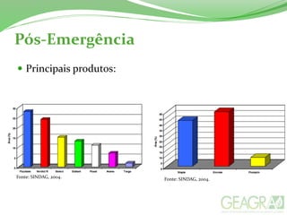 Pós-Emergência
 Principais produtos:
Fonte: SINDAG, 2004. Fonte: SINDAG, 2004.
 