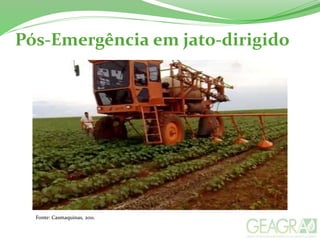 Pós-Emergência em jato-dirigido
Fonte: Casmaquinas, 2011.
 