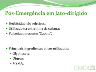 Pós-Emergência em jato-dirigido
 Herbicidas não seletivos;
 Utilizado na entrelinha da cultura;
 Pulverizadores com “Capota”.
 Principais ingredientes ativos utilizados:
 Glyphosate;
 Diuron;
 MSMA.
 