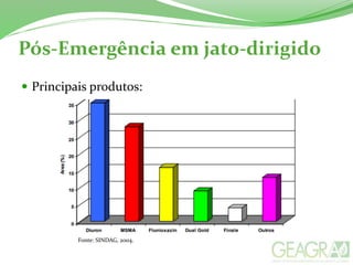 Pós-Emergência em jato-dirigido
 Principais produtos:
Fonte: SINDAG, 2004.
 