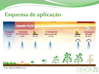 Esquema de aplicação
Fonte: Aplicativo RRPLus, 2017.
 