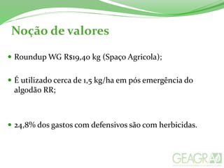 Noção de valores
 Roundup WG R$19,40 kg (Spaço Agricola);
 É utilizado cerca de 1,5 kg/ha em pós emergência do
algodão RR;
 24,8% dos gastos com defensivos são com herbicidas.
 