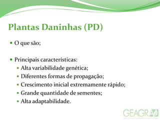 Plantas Daninhas (PD)
 O que são;
 Principais características:
 Alta variabilidade genética;
 Diferentes formas de propagação;
 Crescimento inicial extremamente rápido;
 Grande quantidade de sementes;
 Alta adaptabilidade.
 