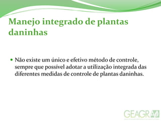 Manejo integrado de plantas
daninhas
 Não existe um único e efetivo método de controle,
sempre que possível adotar a utilização integrada das
diferentes medidas de controle de plantas daninhas.
 