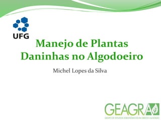 Manejo de Plantas
Daninhas no Algodoeiro
Michel Lopes da Silva
 