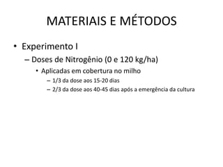 MATERIAIS E MÉTODOS
• Experimento I
– Doses de Nitrogênio (0 e 120 kg/ha)
• Aplicadas em cobertura no milho
– 1/3 da dose aos 15-20 dias
– 2/3 da dose aos 40-45 dias após a emergência da cultura
 