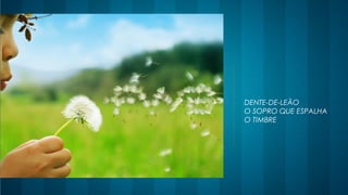 DENTE-DE-LEÃO
O SOPRO QUE ESPALHA
O TIMBRE
 