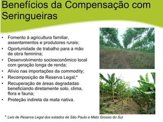 Benefícios da Compensação com Seringueiras Fomento à agricultura familiar, assentamentos e produtores rurais; Oportunidade de trabalho para a mão de obra feminina; Desenvolvimento socioeconômico local com geração longa de renda; Alívio nas importações da commodity; Recomposição de Reserva Legal;* Recuperação de áreas degradadas beneficiando diretamente solo, clima, flora e fauna; Proteção indireta da mata nativa. *  Leis de Reserva Legal dos estados de São Paulo e Mato Grosso do Sul 