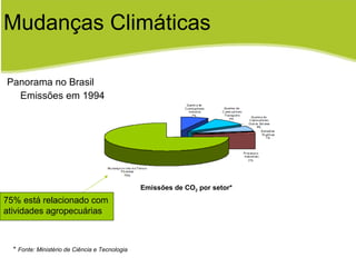 Panorama no Brasil Emissões em 1994 Mudanças Climáticas Emissões de CO 2  por setor* *  Fonte: Ministério de Ciência e Tecnologia 75% está relacionado com atividades agropecuárias 