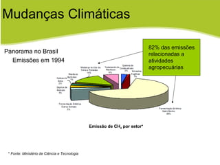 Mudanças Climáticas Emissão de CH 4  por setor* *  Fonte: Ministério de Ciência e Tecnologia Panorama no Brasil Emissões em 1994 82% das emissões relacionadas a atividades agropecuárias 