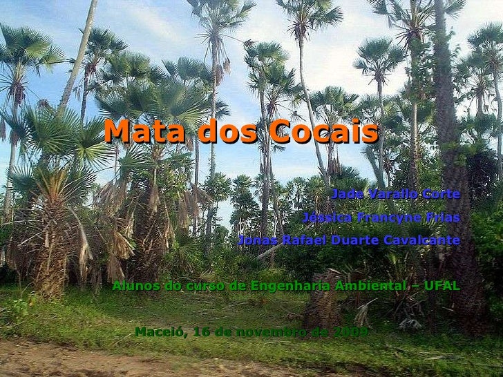 O Bioma Dos Cocais Caracteriza Se Principalmente Pela Presença De