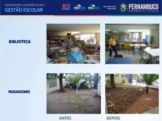 BIBLIOTECA




PAISAGISMO




             ANTES   DEPOIS
 
