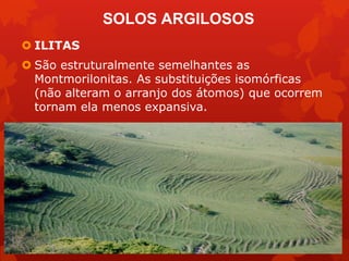  ILITAS
 São estruturalmente semelhantes as
Montmorilonitas. As substituições isomórficas
(não alteram o arranjo dos átomos) que ocorrem
tornam ela menos expansiva.
SOLOS ARGILOSOS
 