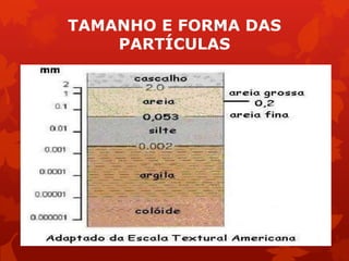 TAMANHO E FORMA DAS
PARTÍCULAS
 