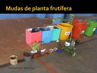 Apresentação meio ambiente