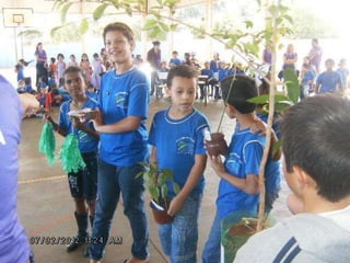 Apresentação meio ambiente