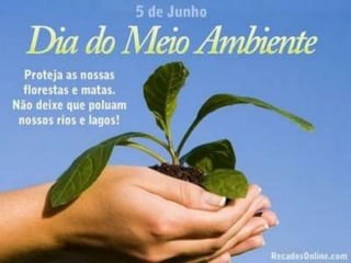 Apresentação meio ambiente