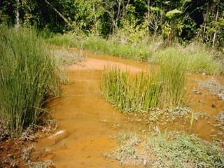 QUANTO VALE ECONOMIZAR?A energiaeconomizada com a reciclagem de umasólata de alumínio é suficienteparamanterligadauma TV por 3 horas.