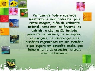 Certamente tudo o que você mentalizou é meio ambiente, pois nesta imagem, além do ambiente natural, como mar, as árvores, os animais, o céu, estão também presente as pessoas, as sensações, as emoções, as lembranças e as histórias registradas em sua memória o que sugere um conceito amplo, que integra tanto os aspectos naturais como os humanos. 