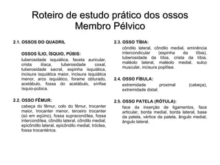 Roteiro de estudo prático dos ossos Membro Pélvico 2.1. OSSOS DO QUADRIL OSSOS ÍLIO, ÍSQUIO, PÚBIS: tuberosidade isquiática, faceta auricular, crista ilíaca, tuberosidade coxal, tuberosidade sacral, espinha isquiática, incisura isquiática maior, incisura isquiática menor, arco isquiático, forame obturado, acetábulo, fossa do acetábulo, sínfise ísquio-púbica. 2.2. OSSO FÊMUR: cabeça do fêmur, colo do fêmur, trocanter maior, trocanter menor, terceiro trocanter (só em eqüino), fossa supracondílea, fossa intercondílea, côndilo lateral, côndilo medial, epicôndilo lateral, epicôndilo medial, tróclea, fossa trocantérica. 2.3. OSSO TÍBIA: côndilo lateral, côndilo medial, eminência intercondicular (espinha da tíbia), tuberosidade da tíbia, crista da tíbia, maléolo lateral, maléolo medial, sulco muscular, incisura poplítea. 2.4. OSSO FÍBULA: extremidade proximal (cabeça), extremidade distal. 2.5. OSSO PATELA (RÓTULA): face da inserção de ligamentos, face articular, borda medial, borda lateral, base da patela, vértice da patela, ângulo medial, ângulo lateral. 