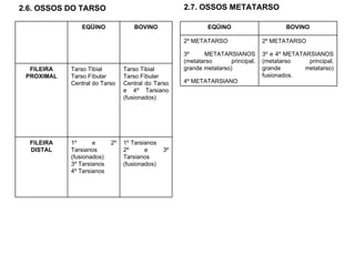2.6. OSSOS DO TARSO 2.7. OSSOS METATARSO 1º Tarsianos 2º e 3º Tarsianos (fusionados) 1º e 2º Tarsianos (fusionados) 3º Tarsianos 4º Tarsianos FILEIRA DISTAL Tarso Tibial Tarso Fíbular Central do Tarso e 4º Tarsiano (fusionados) Tarso Tibial Tarso Fíbular Central do Tarso FILEIRA PROXIMAL BOVINO EQÜINO 2º METATARSO 3º e 4º METATARSIANOS (metatarso principal, grande metatarso) fusionados. 2º METATARSO 3º METATARSIANOS (metatarso principal, grande metatarso) 4º METATARSIANO BOVINO EQÜINO 