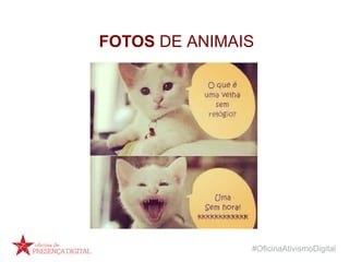 #OficinaAtivismoDigital
FOTOS DE ANIMAIS
 