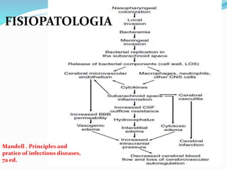 Mandell . Principles and
pratice of infectious diseases,
7a ed.
 