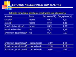 ESTUDOS PRELIMINARES COM PLANTAS  Extração com etanol absoluto e reextrações com clorofórmio . Brosimum gaudichaudii 1 mamica de cadela Dorstenia brasiliensis carapiá 2 carapiá 1 Amostra raiz raiz rizoma rizoma rizoma Parte 1,07 0,36 0,48 <0,01 0,17 0,69 0,10 0,40 0,11 0,62 Bergapteno(%) Psoraleno (%) 1,02 0,04 casca da raiz Brosimum gaudichaudii 3 0,16 1,10 casca da raiz Brosimum gaudichaudii 2 3,49 2,09 casca da raiz Brosimum gaudichaudii 1 
