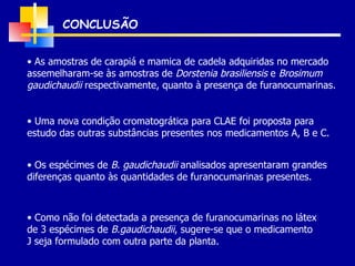 CONCLUSÃO Como não foi detectada a presença de furanocumarinas no látex de 3 espécimes de  B.gaudichaudii , sugere-se que o medicamento J seja formulado com outra parte da planta. As amostras de carapiá e mamica de cadela adquiridas no mercado assemelharam-se às amostras de  Dorstenia brasiliensis  e  Brosimum gaudichaudii  respectivamente, quanto à presença de furanocumarinas. Uma nova condição cromatogrática para CLAE foi proposta para estudo das outras substâncias presentes nos medicamentos A, B e C. Os espécimes de  B. gaudichaudii  analisados apresentaram grandes diferenças quanto às quantidades de furanocumarinas presentes. 