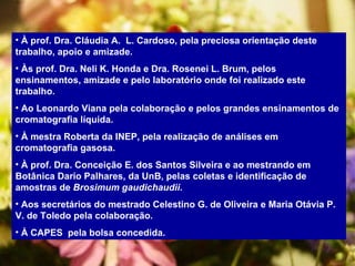 À prof. Dra. Cláudia A.  L. Cardoso, pela preciosa orientação deste trabalho, apoio e amizade. Às prof. Dra. Neli K. Honda e Dra. Rosenei L. Brum, pelos ensinamentos, amizade e pelo laboratório onde foi realizado este trabalho. Ao Leonardo Viana pela colaboração e pelos grandes ensinamentos de cromatografia líquida. À mestra Roberta da INEP, pela realização de análises em cromatografia gasosa. À prof. Dra. Conceição E. dos Santos Silveira e ao mestrando em Botânica Dario Palhares, da UnB, pelas coletas e identificação de amostras de  Brosimum gaudichaudii . Aos secretários do mestrado Celestino G. de Oliveira e Maria Otávia P. V. de Toledo pela colaboração. À CAPES  pela bolsa concedida. 