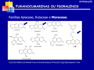 FURANOCUMARINAS OU PSORALENOS Famílias Apiaceae, Rutaceae e  Moraceae . INTRODUÇÃO * 5-[3-(4,5-Diidro-5,5-dimetil-4-oxo-2-furanil)-butoxi]-7H-furo[3-2-g][1]benzopiran-7-ona * 