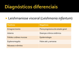  Leishmaniose visceral (Leishmania infantum)
Positivos Negativos
Emagrecimento Piora progressiva do estado geral
Astenia Doenças crônica sistêmica
Palidez cutâneo mucosa Epidemiologia
Esplenomegalia Febre até 4 semanas
Náuseas e vômitos
 