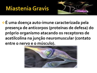 É uma doença auto-imune caracterizada pela
presença de anticorpos (proteínas de defesa) do
próprio organismo atacando os receptores de
acetilcolina na junção neuromuscular (contato
entre o nervo e o músculo).
 