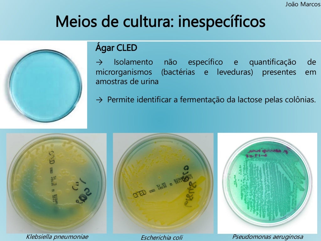 Bacteriologia Controllab Bacteriologia Controllab