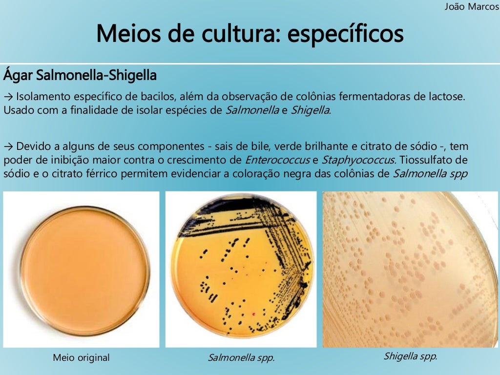 Microbiologia meios de cultura e provas de identificação Microbiologia meios de cultura e provas de identificação