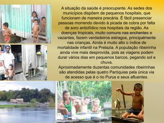 A situação da saúde é preocupante. As sedes dos
municípios dispõem de pequenos hospitais, que
funcionam de maneira precária. É fácil presenciar
pessoas morrendo devido à picada de cobra por falta
de soro antiofídico nos hospitais da região. As
doenças tropicais, muito comuns nas enchentes e
vazantes, fazem verdadeiros estragos, principalmente
nas crianças. Ainda é muito alto o índice de
mortalidade infantil na Prelazia. A população ribeirinha
ainda vive mais desprovida, pois as viagens podem
durar vários dias em pequenos barcos, pegando sol e
chuva.
Aproximadamente duzentas comunidades ribeirinhas
são atendidas pelas quatro Paróquias pela única via
de acesso que é o rio Purus e seus afluentes.

 