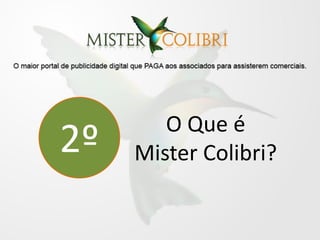 O Que é
2º   Mister Colibri?
 