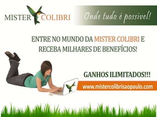 www.mistercolibrisaopaulo.com