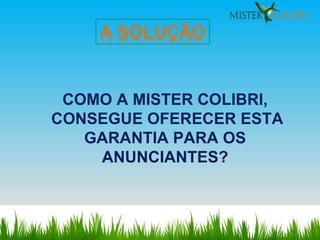 COMO A MISTER COLIBRI, CONSEGUE OFERECER ESTA GARANTIA PARA OS ANUNCIANTES? 