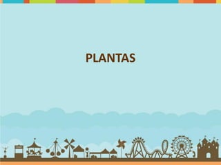 PLANTAS
 
