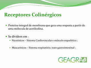  Proteína integral de membrana que gera uma resposta a partir de
uma mólecula de acetilcolina.
 Se dividem em :
 Nicotínicos – Sistema Cardiovascular e músculo esquelético ;
 Muscarínicos – Sistema respiratório, trato gastrointestinal ;
Receptores Colinérgicos
 