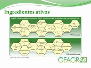 Ingredientes ativos
Fonte: IRAC http://www.irac-br.org.br
 