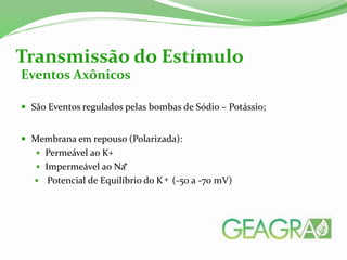 Eventos Axônicos
 São Eventos regulados pelas bombas de Sódio – Potássio;
 Membrana em repouso (Polarizada):
 Permeável ao K
 Impermeável ao Na
 Potencial de Equilíbrio do K (-50 a -70 mV)
Transmissão do Estímulo
+
+
+
 