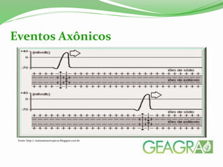 Eventos Axônicos
Fonte: http:// matiassinantropicos.blogspot.com.br
 