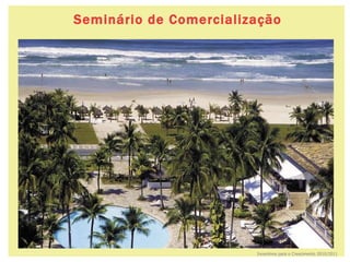 Incentivos para o Crescimento 2010/2011 Seminário   de Comercialização Guaruja – São Paulo 