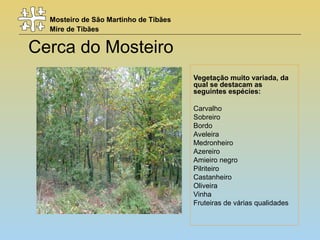 Mosteiro de São Martinho de Tibães
Mire de Tibães
Cerca do Mosteiro
Vegetação muito variada, da
qual se destacam as
seguintes espécies:
Carvalho
Sobreiro
Bordo
Aveleira
Medronheiro
Azereiro
Amieiro negro
Pilriteiro
Castanheiro
Oliveira
Vinha
Fruteiras de várias qualidades
 