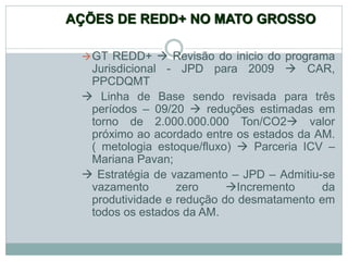 AÇÕES DE REDD+ NO MATO GROSSO
GT REDD+  Revisão do inicio do programa
Jurisdicional - JPD para 2009  CAR,
PPCDQMT
 Linha de Base sendo revisada para três
períodos – 09/20  reduções estimadas em
torno de 2.000.000.000 Ton/CO2 valor
próximo ao acordado entre os estados da AM.
( metologia estoque/fluxo)  Parceria ICV –
Mariana Pavan;
 Estratégia de vazamento – JPD – Admitiu-se
vazamento zero Incremento da
produtividade e redução do desmatamento em
todos os estados da AM.
 