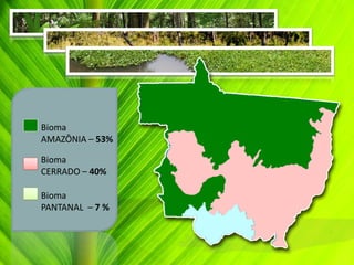 Bioma
AMAZÔNIA – 53%
Bioma
CERRADO – 40%
Bioma
PANTANAL – 7 %
 