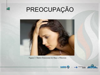 PREOCUPAÇÃO
Figura 3: Matriz Emocional do Baço e Pâncreas
 