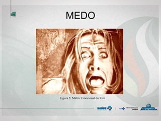 MEDO
Figura 5: Matriz Emocional do Rim
 